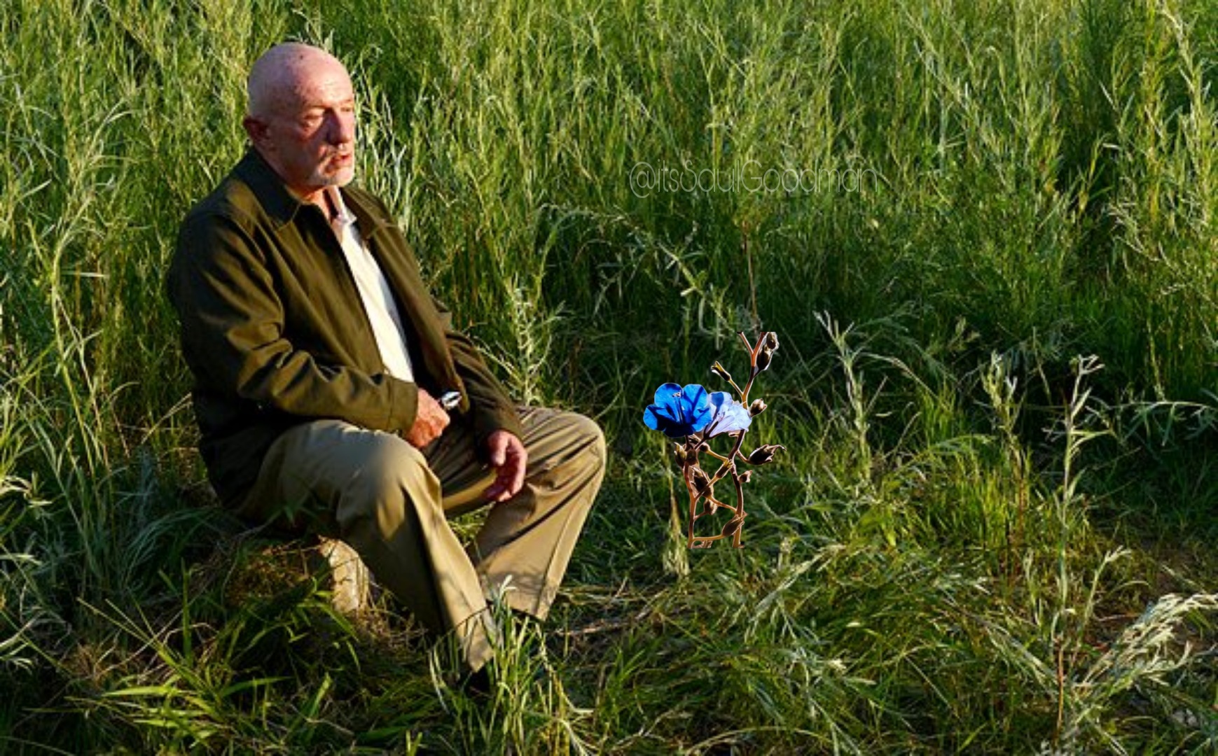 Breaking Bad Mike Death