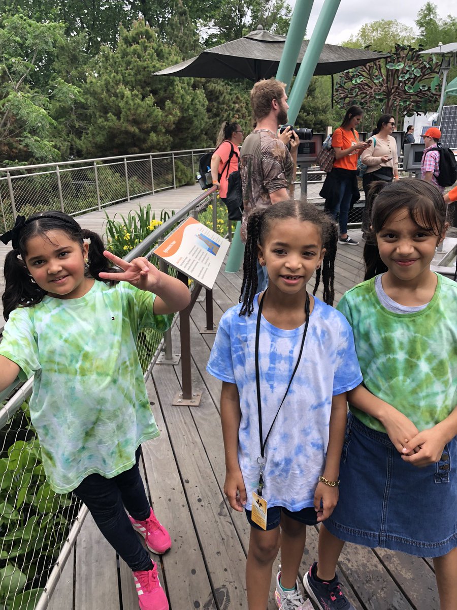 Ms. Everett's Class tweet media