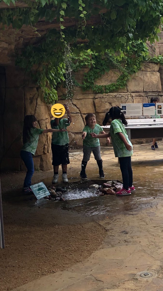 Ms. Everett's Class tweet media