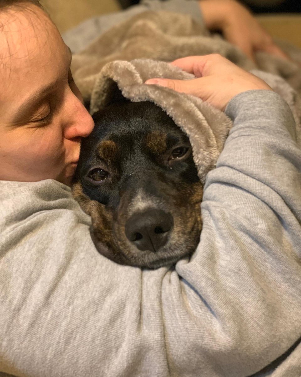 Stephen Black tweet media