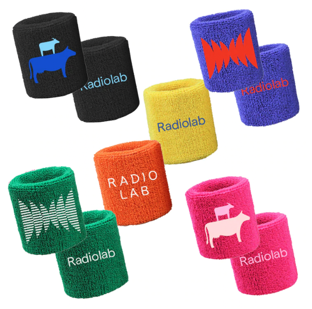 Radiolab on Twitter "Our popup online merch store, the Swag Lab, is