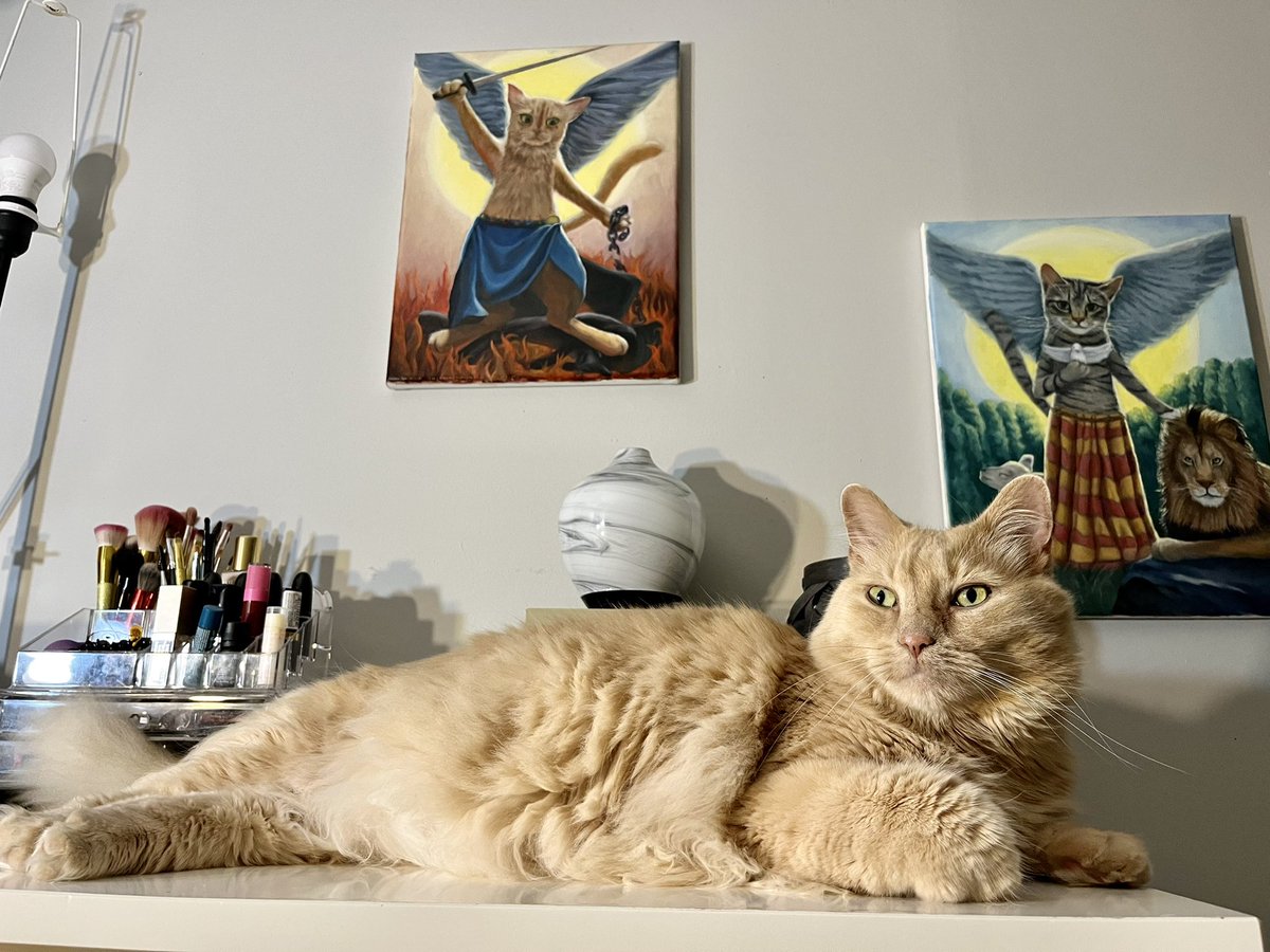 Purrfect23's tweet photo. Greetings from Mr. Miumiu ☀️ https://t.co/kY09MWeF63