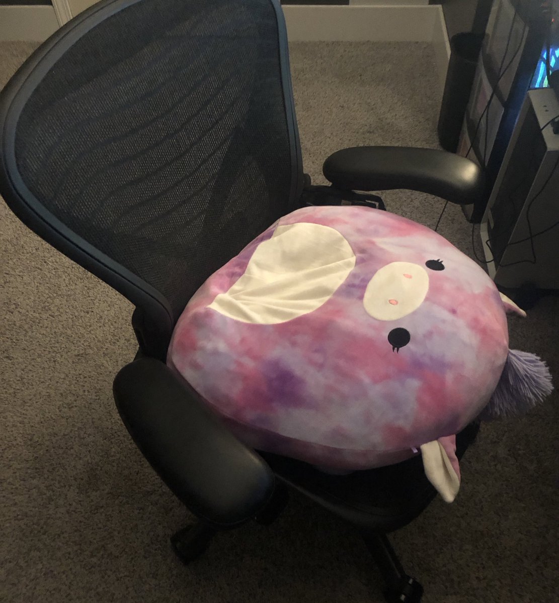 BdoubleO100 tweet media