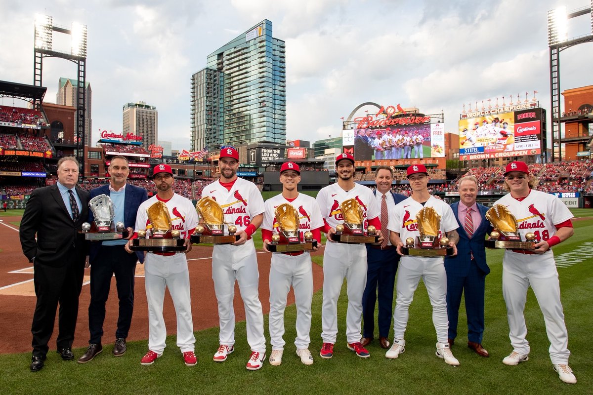 Cardinals's tweet photo. ✨ We're so golden ✨ https://t.co/gwNQ86mi4w