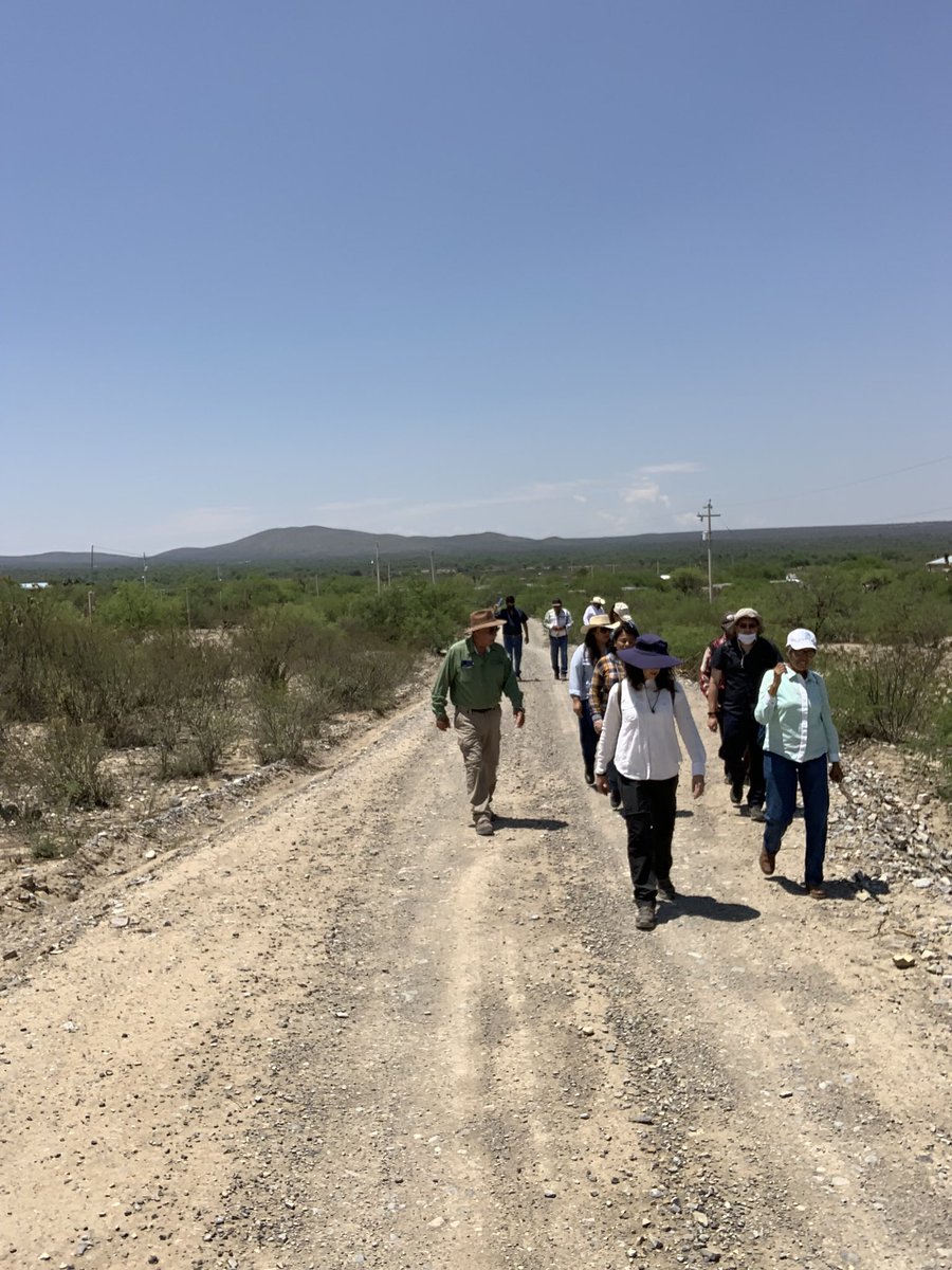ldeschampss's tweet photo. Seminario Modelo de Desarrollo Sostenible del Semiárido, INNOVA AF en el ejido San Felipe, con la participación de la UCP, @IICAMexico @CONAFOR #PRODEZSA @IFADespanol @Agricultura_mex, Gob.N.L., IMTA, UASLP, ITESM, Gob. municipal y comisariados de Zacatlán, Pue.@IICAnoticias https://t.co/nKM9rEh6bx