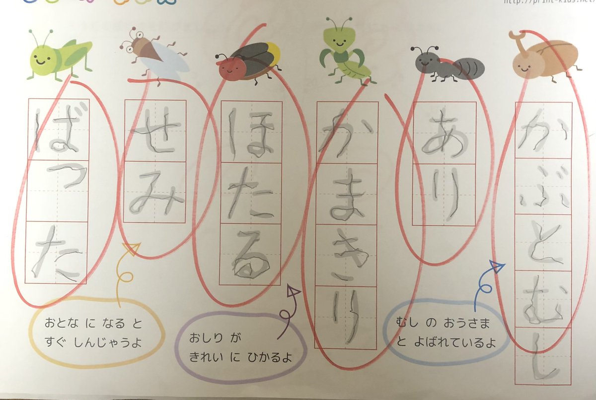 幼児のひらがななぞり問題の「せみ」の説明、もう少しなんとかならなかったんか 