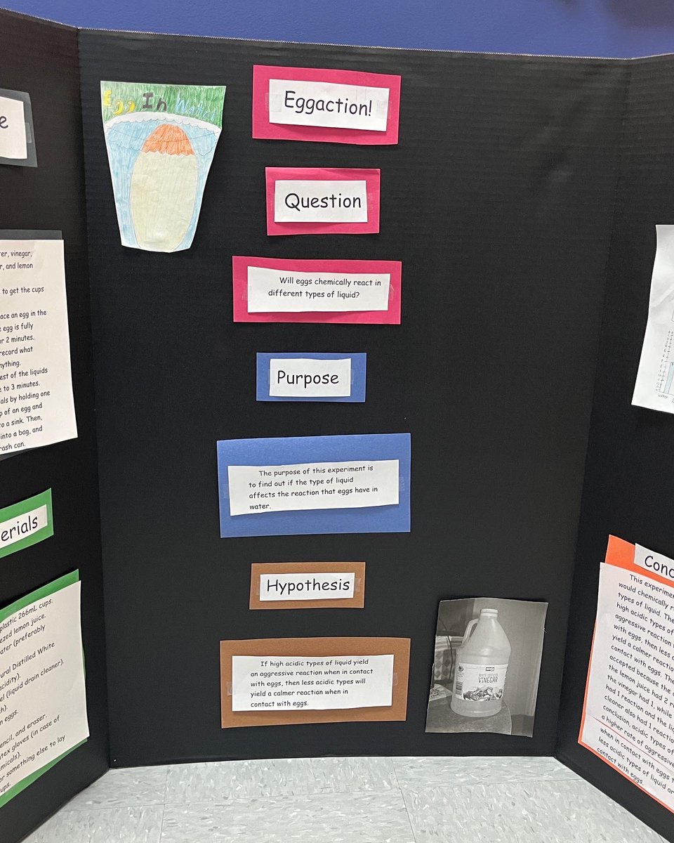 FCCS_School's tweet photo. FCCS’ 5th and 6th graders were quite busy on their science projects! Were their hypotheses supported? The halls of FCCS are filled with their creativity in applying the scientific method! @FCPSMaryland
#marylandcharterschools #fccsstrong #fcpsshoutout #truegoodbeautiful #fcpsmd https://t.co/MqX4ZCuRKZ