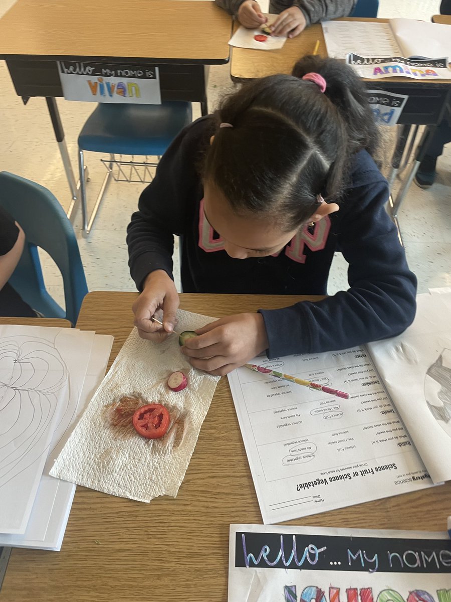 MissMaddyB223's tweet photo. Is it a “science fruit” or a “science vegetable?” 🧐🔎🍅🥒🥔 Digging in to find evidence to support our predictions! #ScientistsoftheFuture https://t.co/WbQtIFD2iY