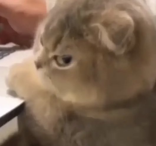 UltimateClass1a's tweet image. If pintrest had some premium with no ads I’d pay IM TIRED OF VIBING AND MY MUSIC CUTTING OFF