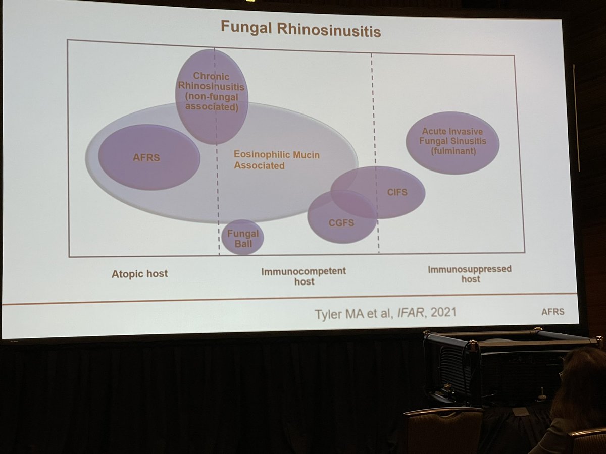 DrScottFortune's tweet photo. 1/2: Day 1 favorites from #rhinology sessions @AmRhinoSociety #cosm22 https://t.co/2HpD1HXREx