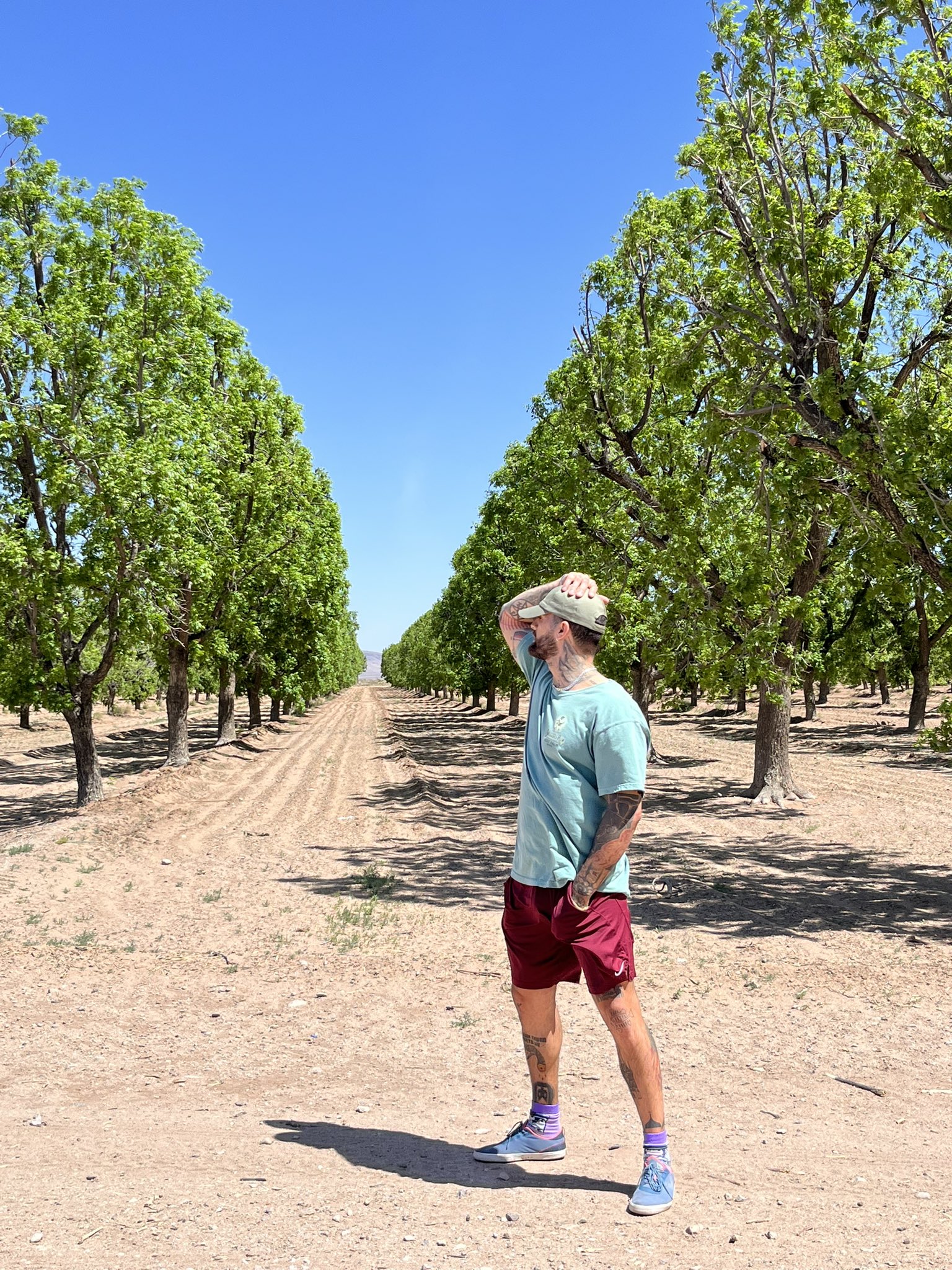 SojMani on Twitter: "https://t.co/5efYNXKrpt" / Twitter