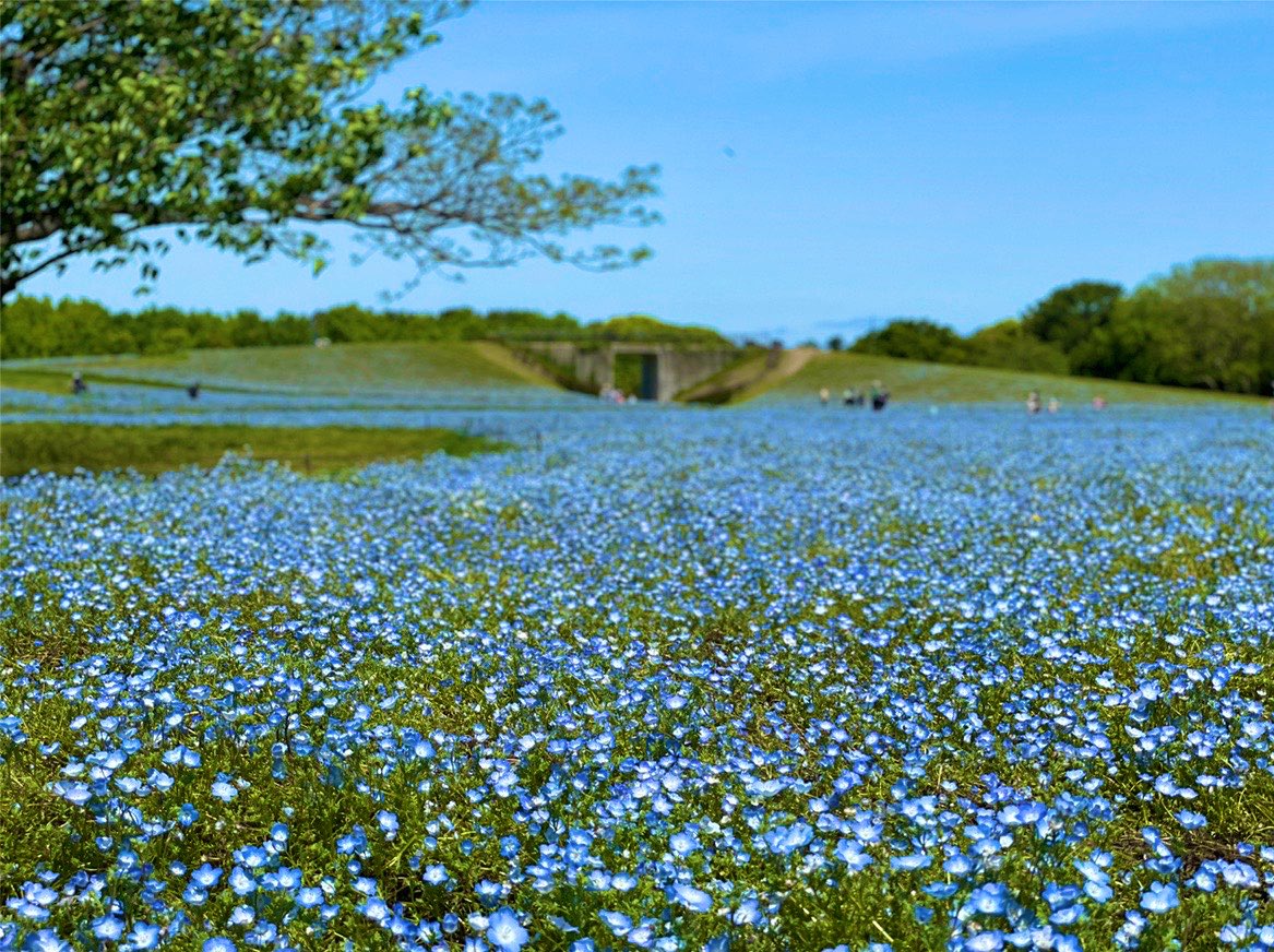 h Metal 超硬物質ｱｰﾒﾀﾙ h Metal Twitter