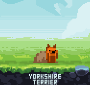 PixelDogs tweet media