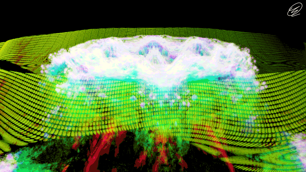 AdaLover $9858 tweet media