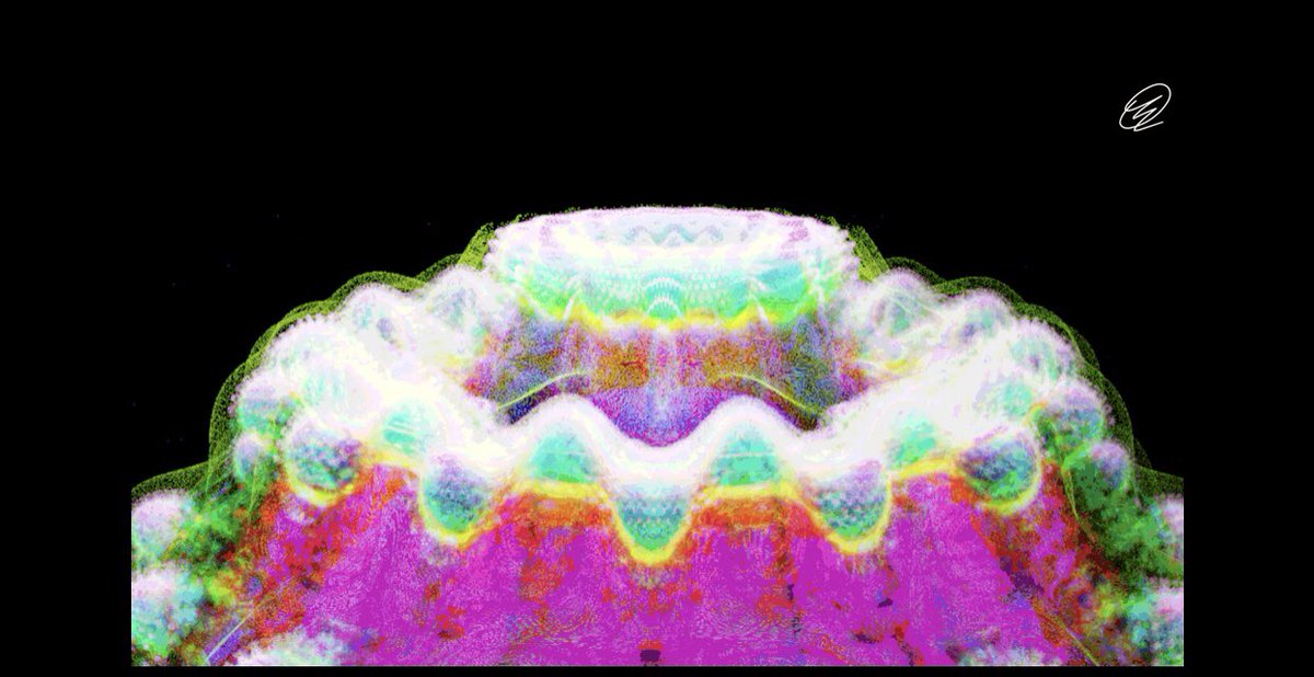 Blazej Valentin 🐐 tweet media