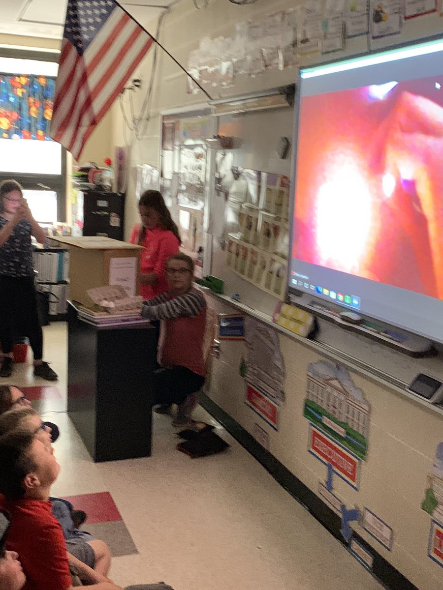 SuffieldE's tweet photo. Students in 4th grade gathered to “candle” the chicken eggs they’ve been incubating. Projecting for all to see is a challenge! #lovesuffield https://t.co/GlKz8hwQZE