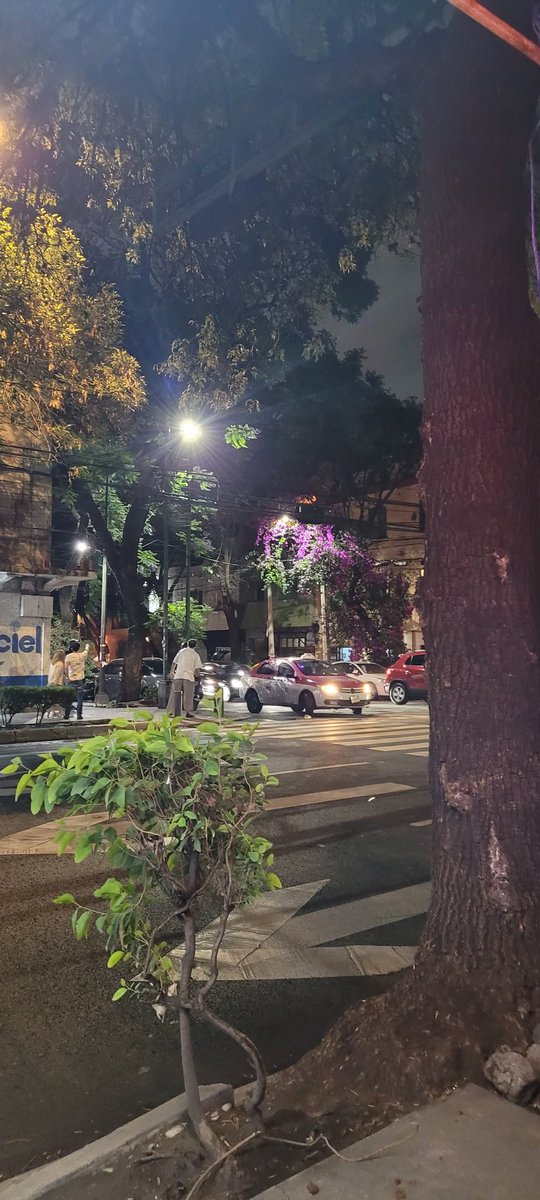 #Roma #incendio #cdmx