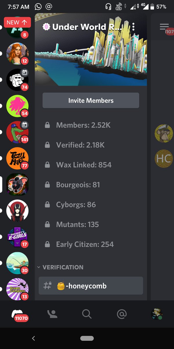 Son Of Earth tweet media