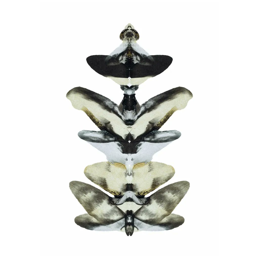 nft0tem's tweet image. 0405/1000 - Relics From The Future Collection.
#nft #art #abstractart #cryptographic #painting #artcommunity #nftcommunity