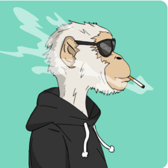 howl33333's tweet photo. 🍌 Tamaki Apes Giveaway 

X3 Tamaki Apes WL 

To enter:
🎟️ Follow @tamakiapes &amp; @howl33333
🎟️ RT &amp; Tag 2 friends

Winners in 24 hours  🎉🎉🎉 https://t.co/UP7z1v49Ib