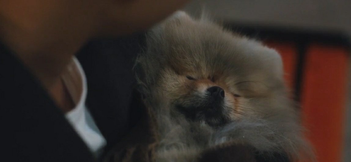 kwazong's tweet photo. Let's appreciate how kdrama taking seriously mental health issues of animal. The best episode of  #TomorrowEp9 and the best plot ever created. Kong is the best representation of the faithful and pureness. https://t.co/hpCditdH0G