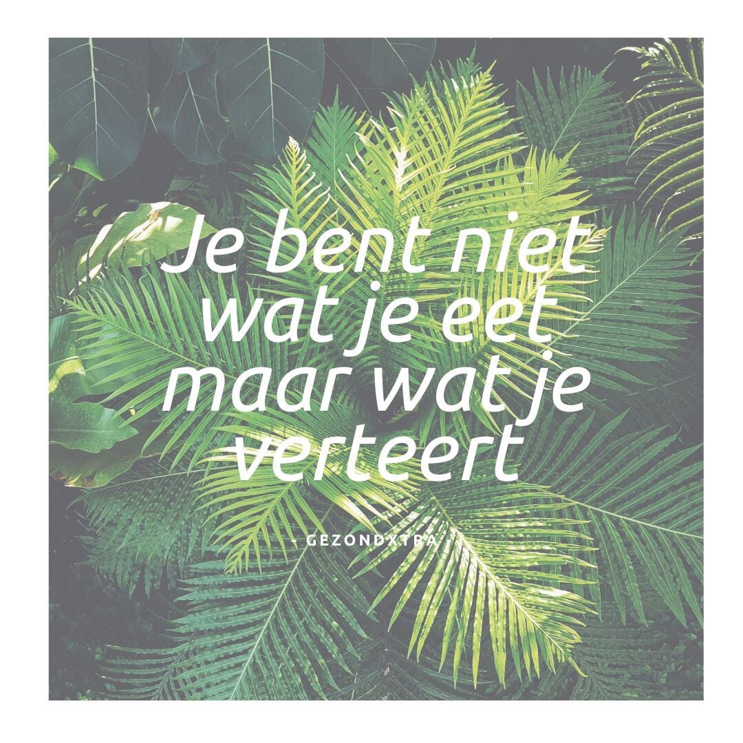 Verteren is de basis van een goede (darm) gezondheid