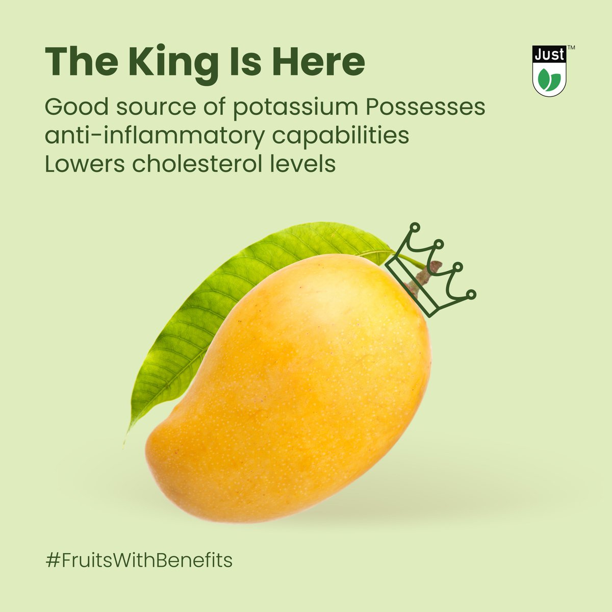 justfreshapp's tweet photo. Cherish the glory of your favourite fruit with all its royalty. Buy on Just Fresh Now. Download  https://t.co/nOleK5OnM1
.
.
.
.
.
.
.
.
#YourFreshestChoice #Fruits #Vegetables #Veggies   #Veggiesonline #handpickedvegetables #mangoseason #freshmango #mangolovers https://t.co/rOlVgbacFg
