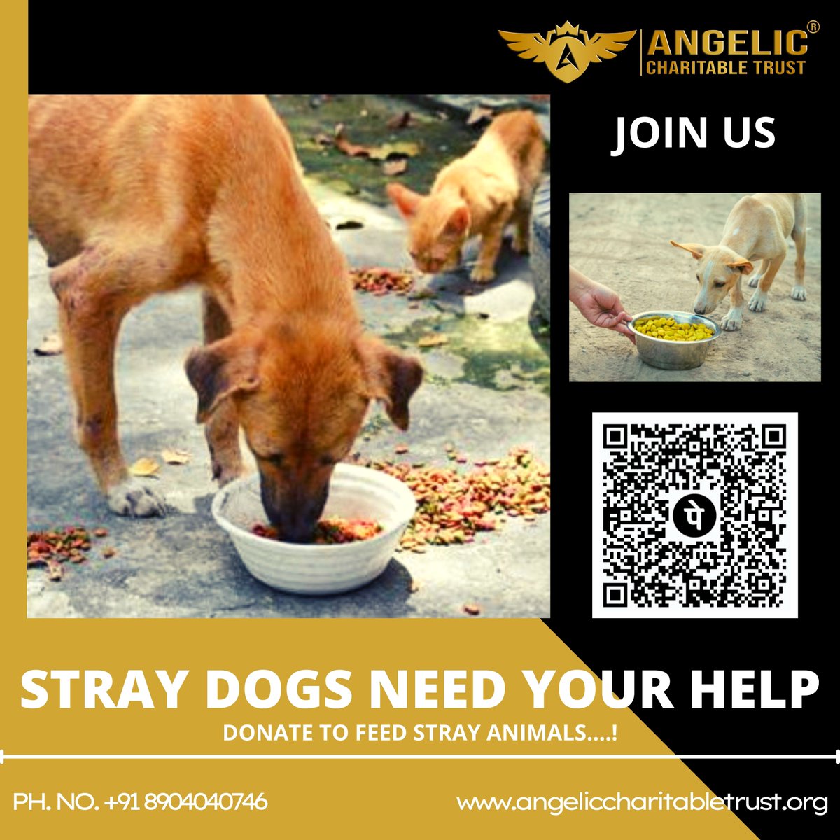 Angeliccharityt's tweet photo. STRAY DOGS NEED YOUR HELP!
DONATE TO FEED STRAY ANIMALS....!
#joinus
#donate
Contribute here and raise funds to feed stray animals.
UPI ID - 9113935305@hdfcbank 
#Angelic
#ANGELICCHARITABLETRUST
#feedinganimals #charity #nonprofit #nonprofitorganization #crowdfunding #fundraising https://t.co/mMcNs7mm3P