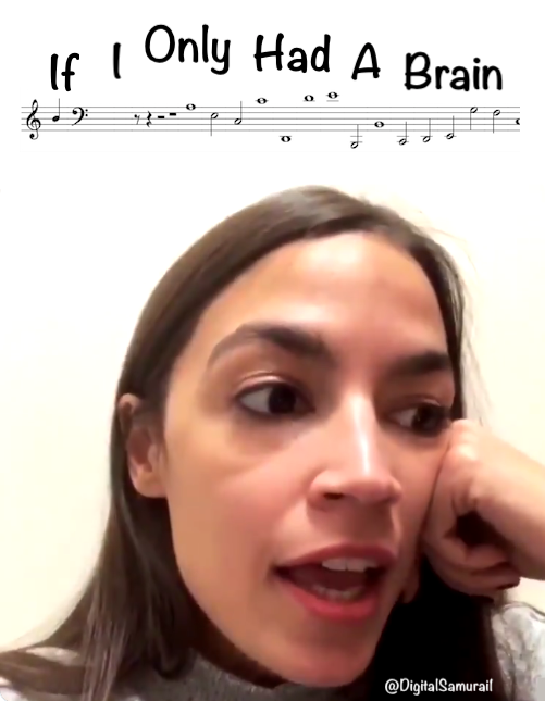 DigitalSamurai1's tweet photo. @MonicaCrowley @AOC @elonmusk It's amazing what utterances comes out of the mouth of a woman with the I.Q. of a can of generic dog food! https://t.co/Zk4zMSgBnw