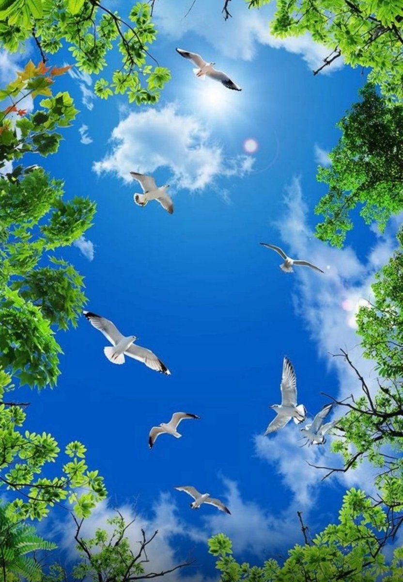 Хороших выходных! 
   💙🌞💙🌼💖💚🥰