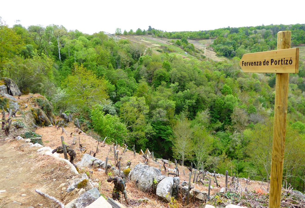 Escapalandia's tweet photo. Hoy en @convozde hablamos de cascadas por tres rincones de Galicia:
- Sober https://t.co/kFliFT6pxO
- Irixoa https://t.co/7BJvRrsaY0
- A Fonsagrada https://t.co/ayFr2FnsAD https://t.co/oh1X02tIJa