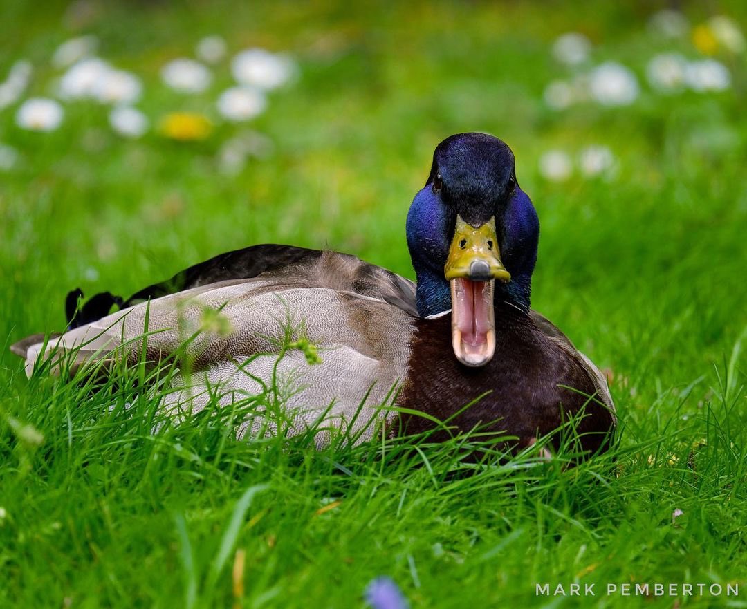 Igerscoventry tweet media