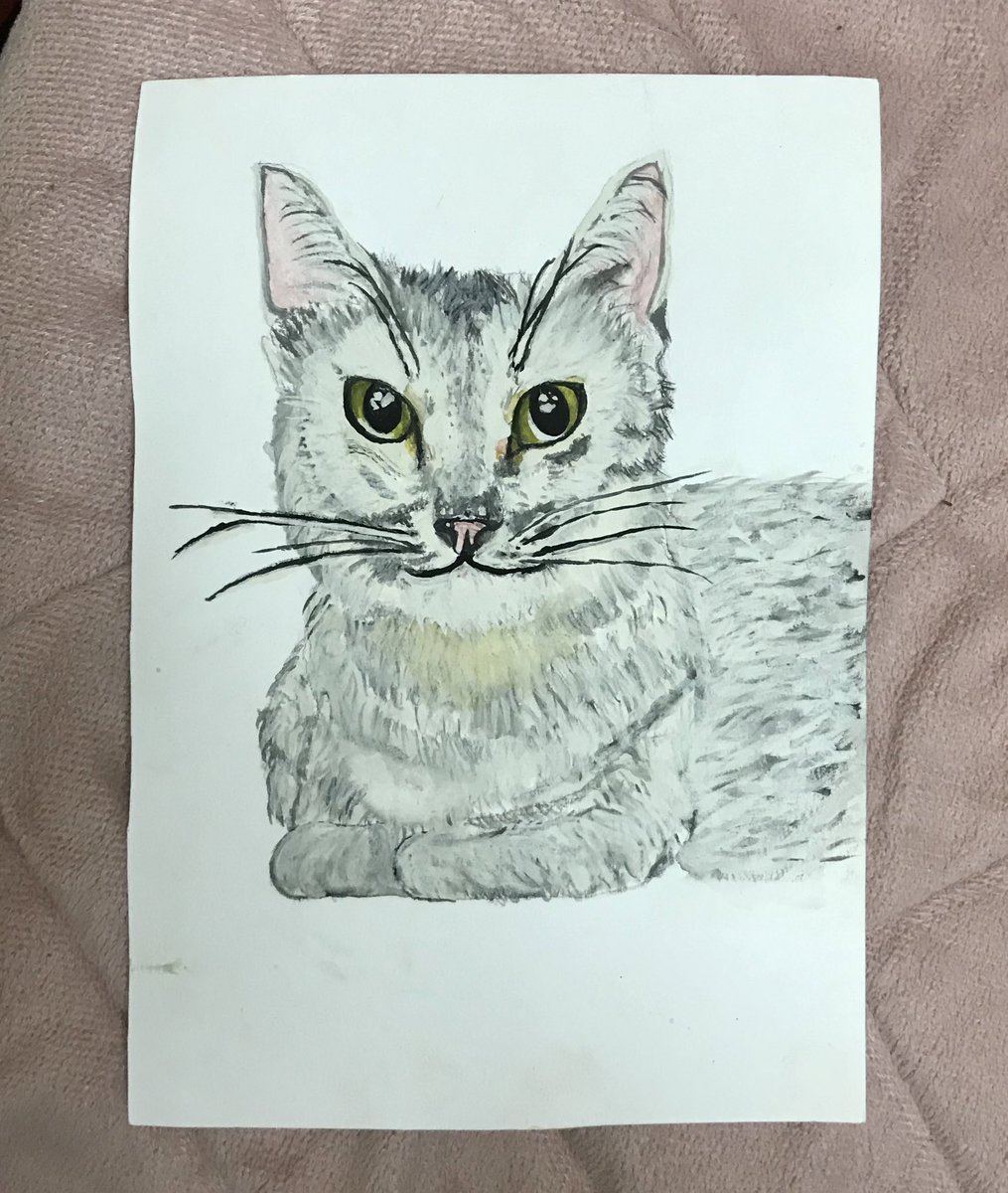 felinepotraits's tweet photo. Open for cat portrait Commissions! #twtseni #seni #cat #CatsOfTwitter https://t.co/uahBxTaNGE