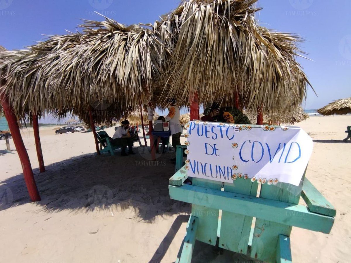 ProjectSparkle4's tweet photo. ¡INSTALAN MÓDULO DE VACUNACIÓN CONTRA COVID-19 EN PLAYA MIRAMAR!
El módulo de vacunación se instaló en la playa Miramar para que así los jóvenes mayores de 18 años acudan a ponerse el refuerzo contra el COVID-19, solo disponen de 300 dosis de biológico Astrazeneca por cada día. https://t.co/0mkhoIeciW