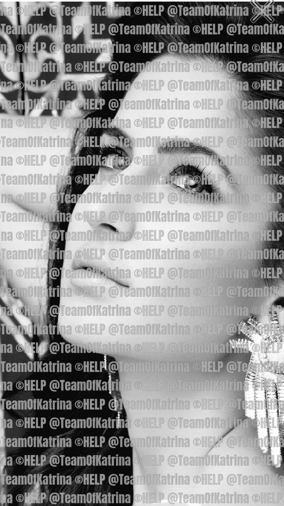 TeamOfKatrina's tweet photo. A Request to all #KatrinaKaif Fans,, plz support my account . I've been on Twitter continuously working for5 years for everything related to Katrina Kaif related account.but my account is not growing. Plz HELP 😞 or this will end... https://t.co/VBUkLkzqFR