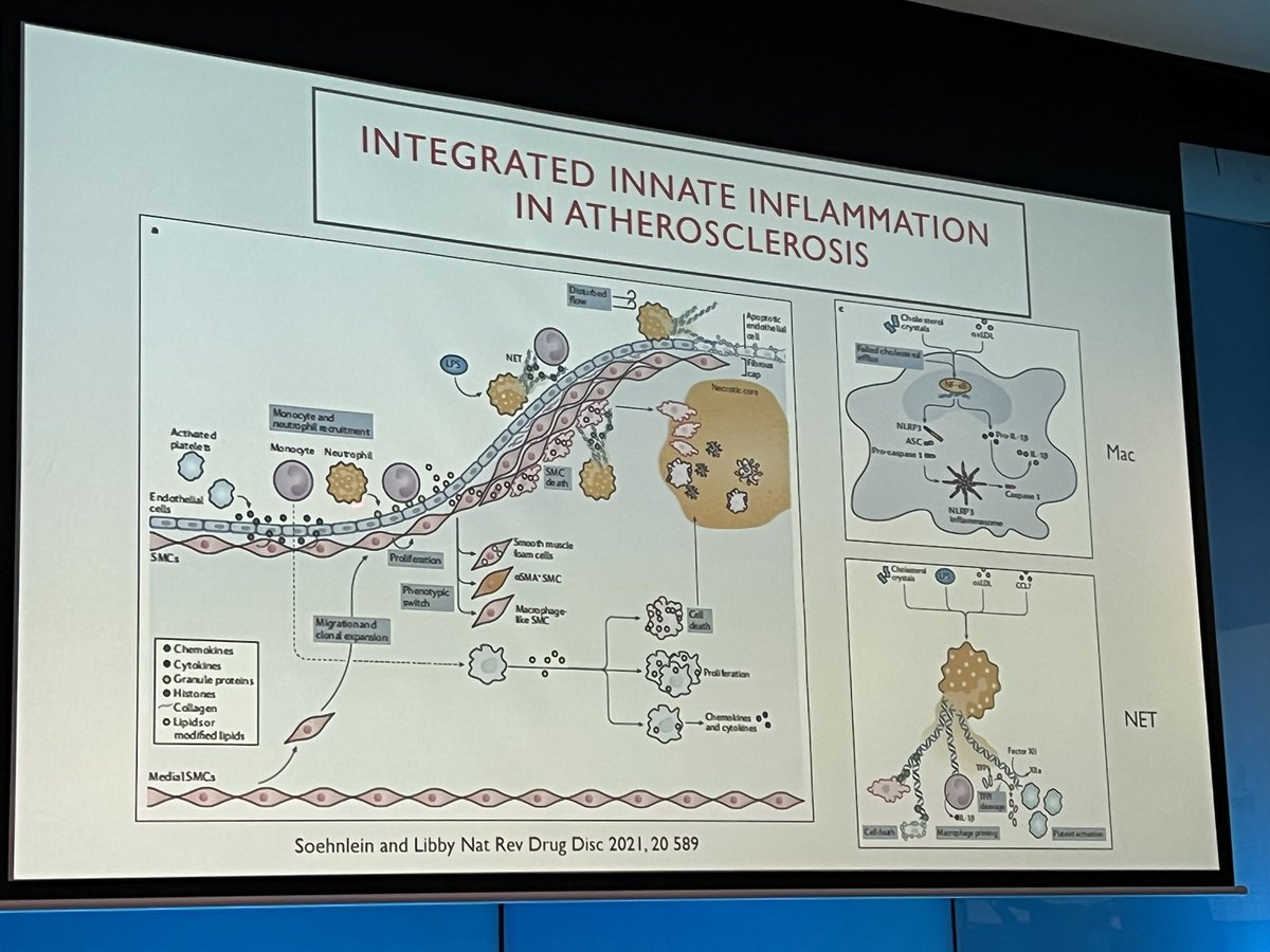 evi2prac's tweet photo. It’s well recognised now that Atherosclerosis is an inflammatory disease

#heartsymposium22
#evidence2practice https://t.co/gEbQbhQs51