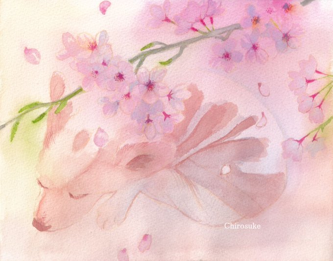 「branch petals」 illustration images(Latest)｜21pages