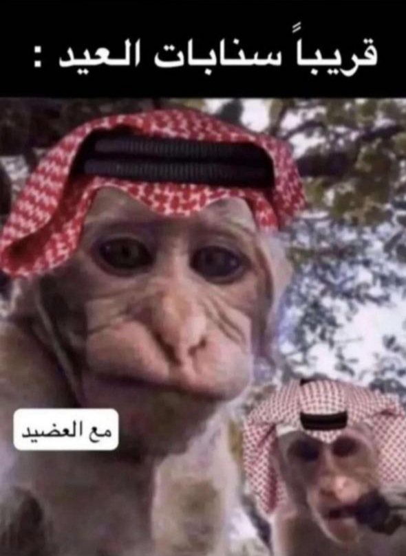 قررررررريبا" في العييييييد