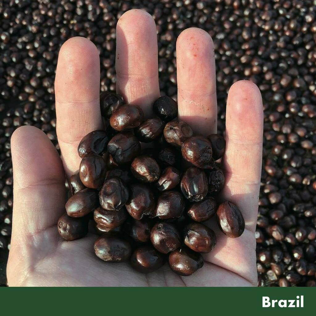 thissideupjp's tweet image. ✎
[BRAZIL]
Fazenda California Cold Soul

アプリコットや赤ぶどうのような明るい印象。
ハイビスカスのような華やかなフレーバーも
感じられます。

-Cold Soul Process-
コーヒーチェリーを厳選して手で摘み、
冷たいワインに24時間浸... #thissideup #thissideupjapan #コーヒー生豆 #生豆輸入