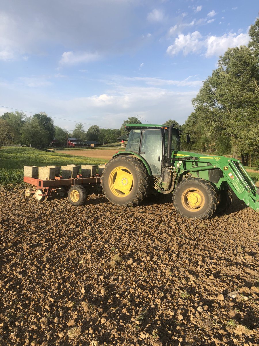 Jack Dalton tweet media