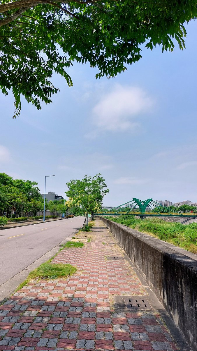 tonylu915's tweet image. 新手機相機試拍
#a52s