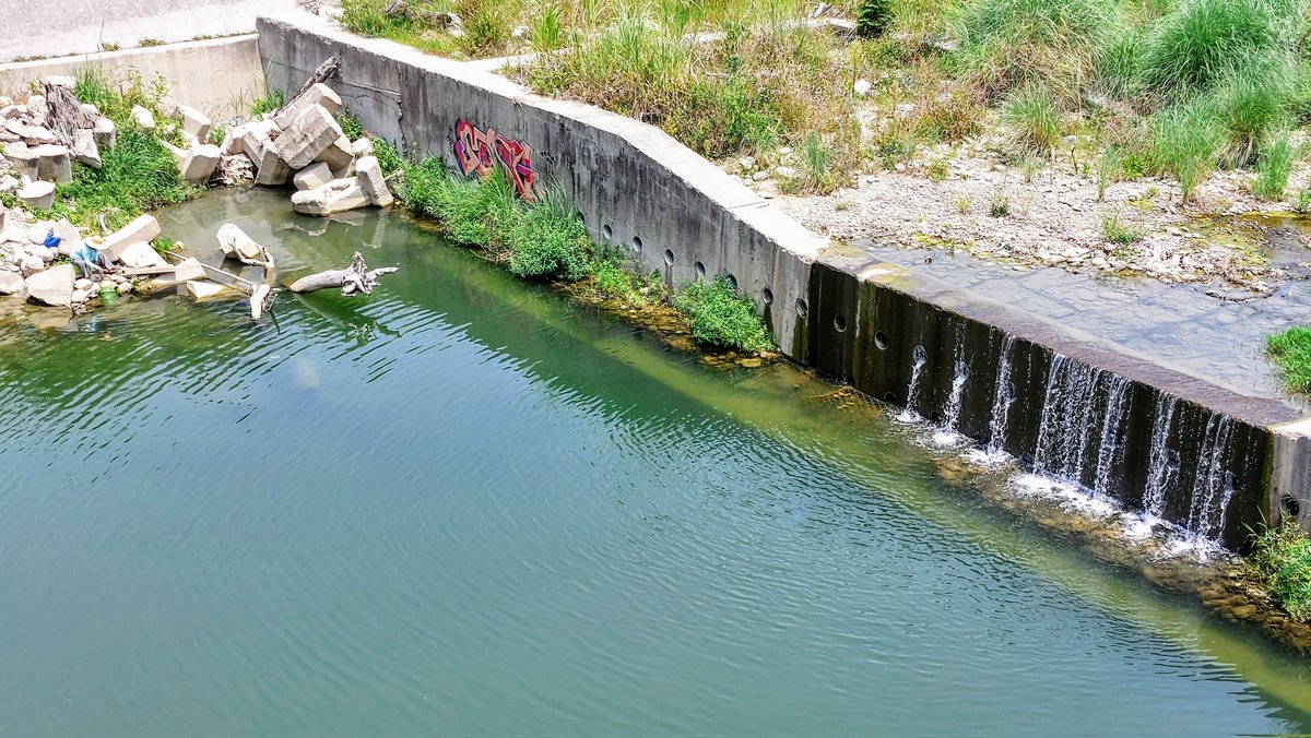 tonylu915's tweet image. 新手機相機試拍
#a52s