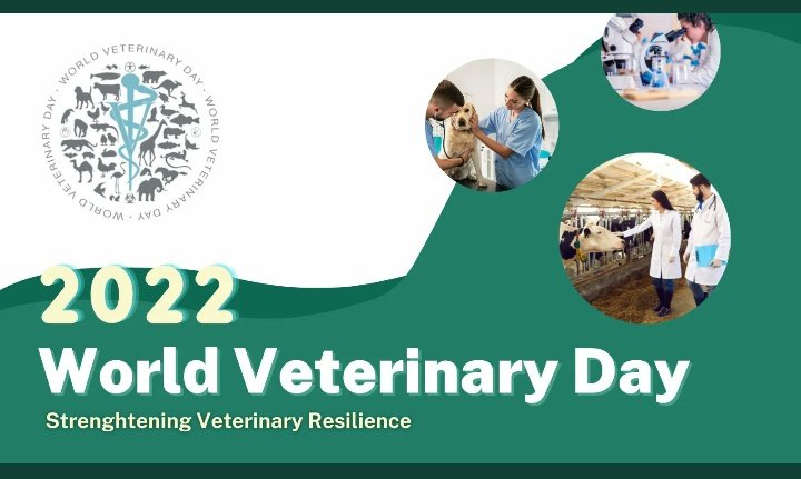 Happy world veterinary day #wvd2022