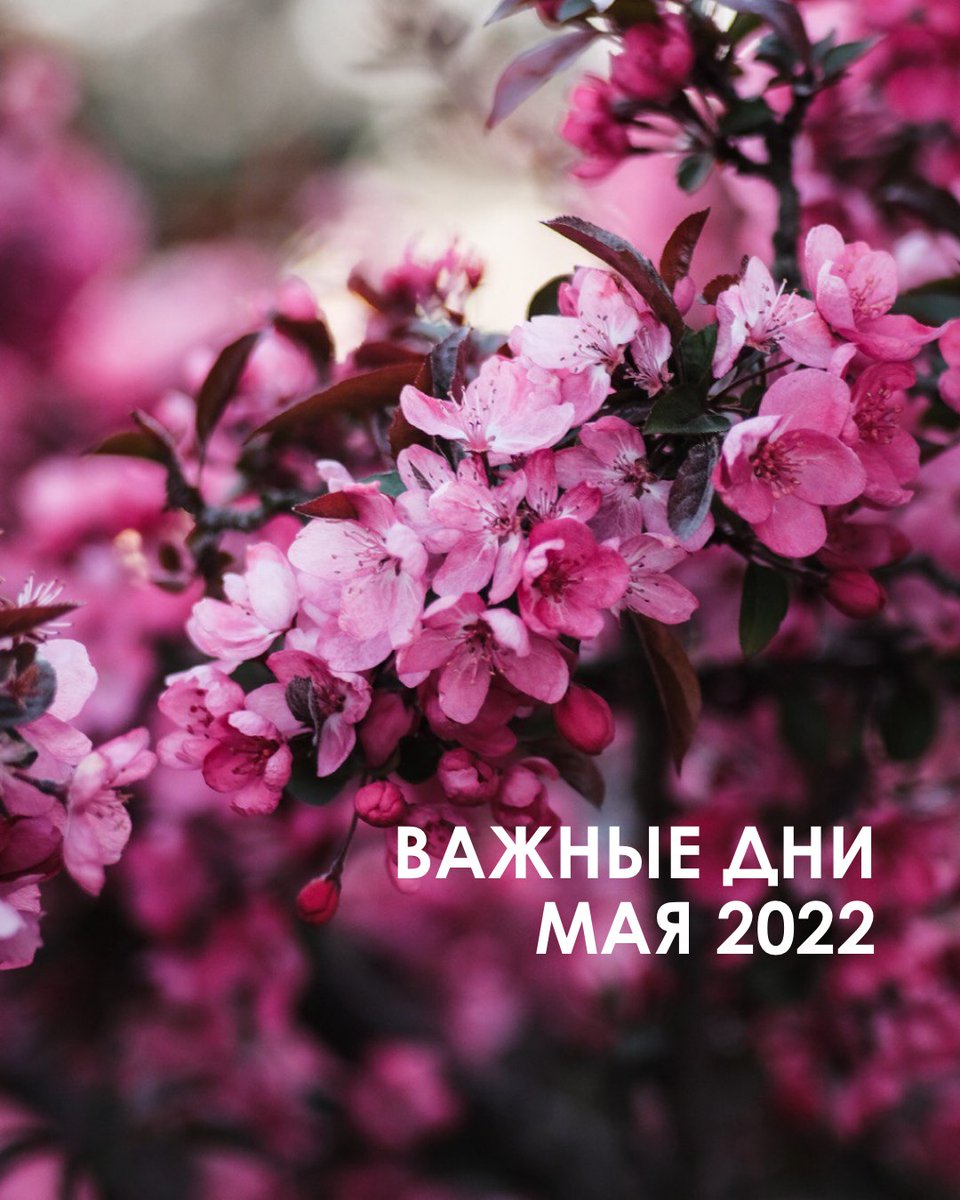 Vas_Volodina's tweet photo. Подробно о самых важных днях мая 2022 читайте в моем Телеграм-канале https://t.co/xNjiotEbhS https://t.co/va6pvDZqox