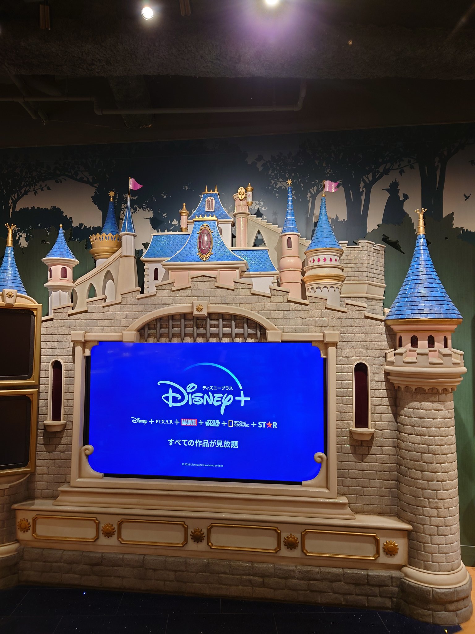 ディズニーストア仙台東映プラザ店 Twitter Search Twitter