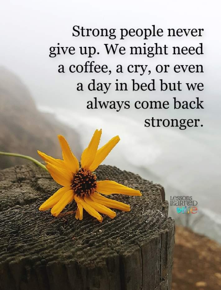 HeatherJMorgan's tweet photo. Day 365 of my journey on the path we call #Grief its been a long tough rollercoaster but I'm still standing. Made some unexpected allies along the way.  Thanks for being on the journey #friendship #support #maybeishouldwriteabook https://t.co/PAUoEW2KyX