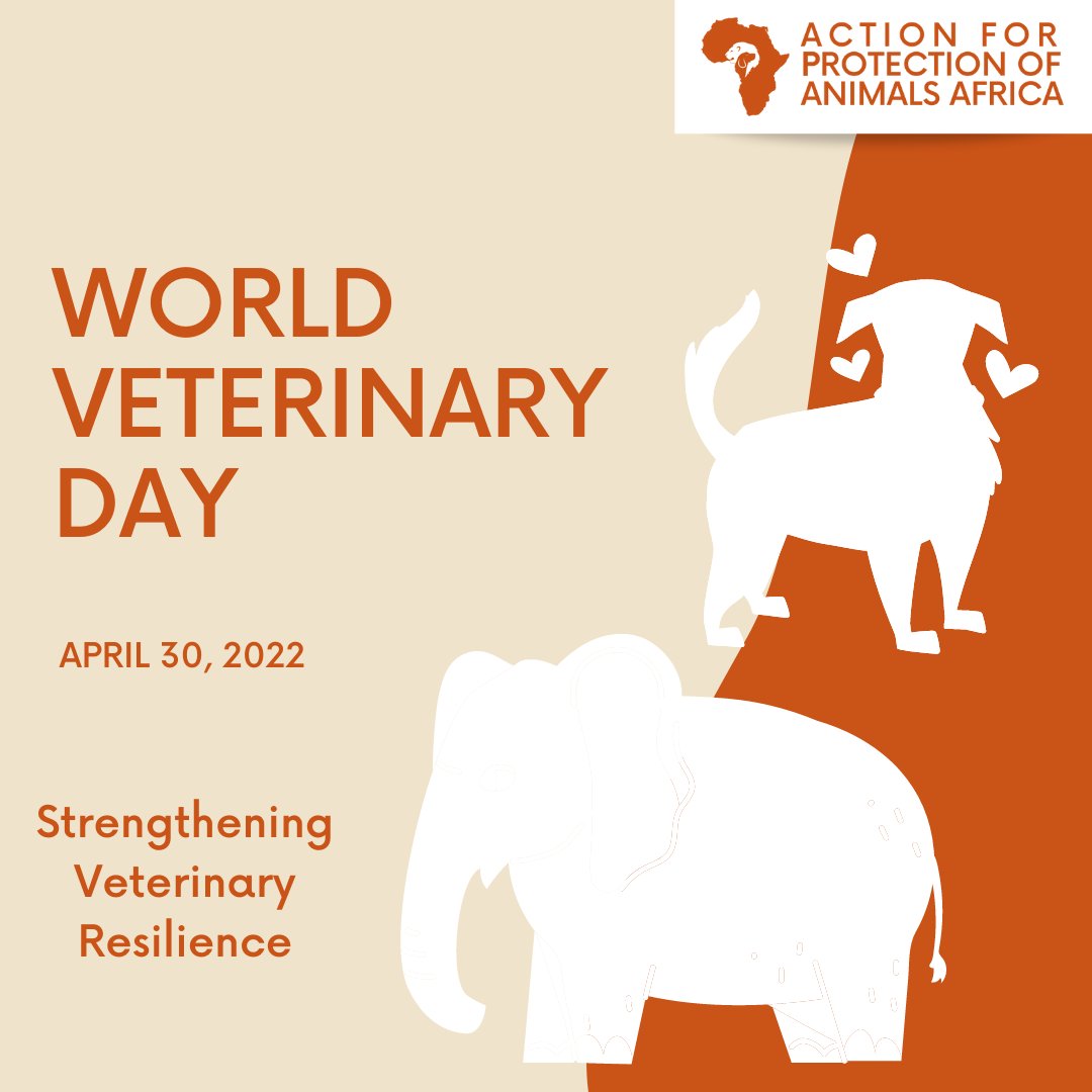 This World Veterinary Day, we salute veterinarians around the world for their dedication and resilience in their work of protecting the health and welfare of animals. #WVD2022 #WorldVeterinaryDay