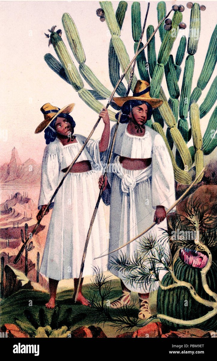 CCV433Papagos's tweet photo. Los pápagos dividen el tiempo en dos temporadas:el verano y el invierno,que rigen dos tipos de habitación,la de los “campos”y la de los“pozos". Esta división de la habitación permite las prácticas agrícolas y las de caza-recolección 
Respectivamente;ambas aún existen https://t.co/yKp3fMFKqb