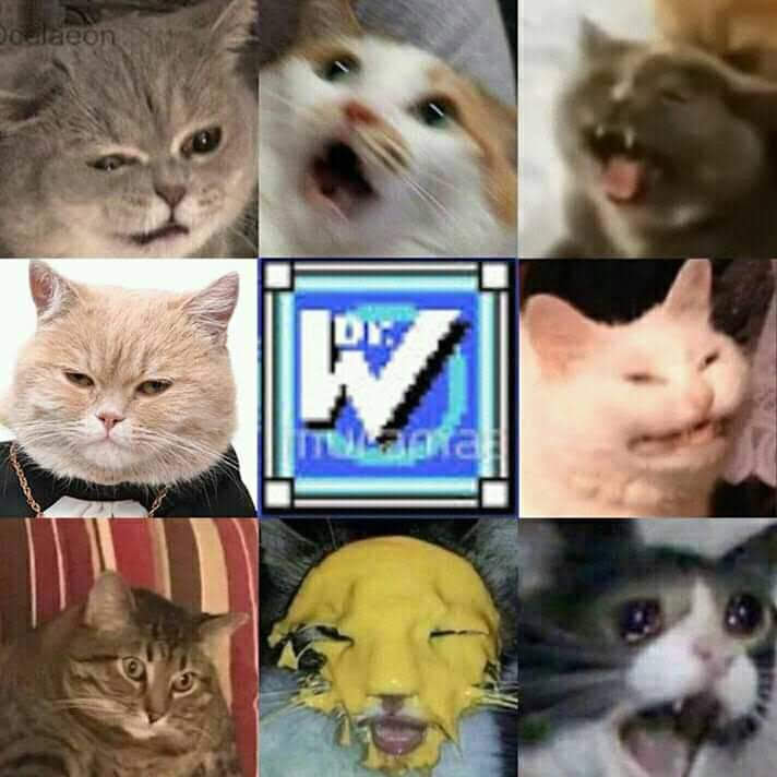 HeyFrikiChannel's tweet photo. SELECT STAGE
PUSH START
- Ricke
#Megaman #videogamecats #Capcom https://t.co/Ti0ZsJkD6u