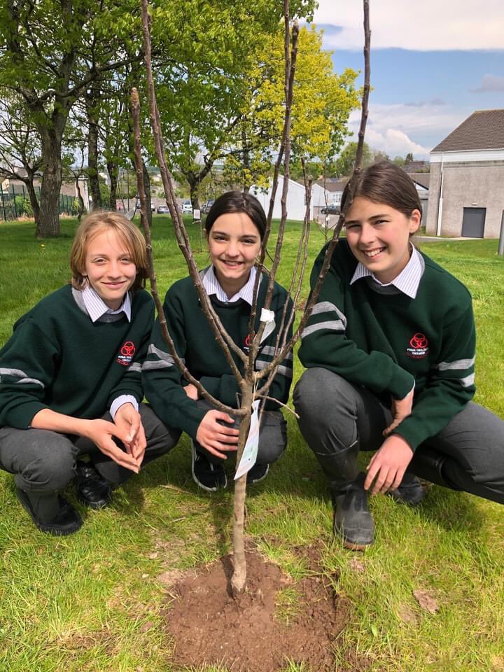 We got some fruit trees from @PeterDowdall & planted a fruit tree grove. This grove of fruit trees will provide ingredients for our Home Ec classes,and food for bees. The fruit will have low #foodmiles & suck up the carbon alongside the Oak trees🐞🪰🍎🍐🍏🍑 🐝🐝🐝 #pollinators